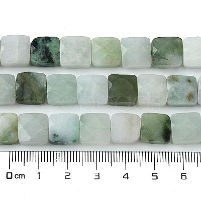 Natural Myanmar Jadeite Beads Strands G-A092-C01-02-1