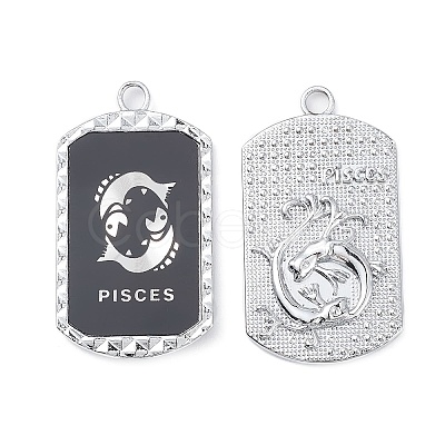 Alloy Twelve Constellations Series Big Pendants PALLOY-O107-01P-12-1