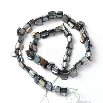 Erose Shell Beads Strands PBB070Y-1