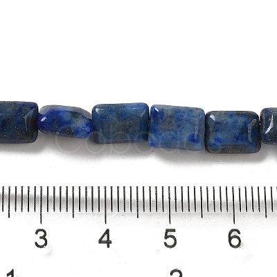 Natural Lapis Lazuli Beads Strands G-G085-A02-01-1