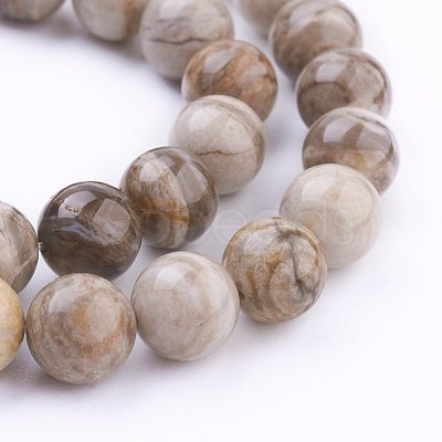 Natural Silver Leaf Jasper Beads Strands G-G683-01-10mm-1