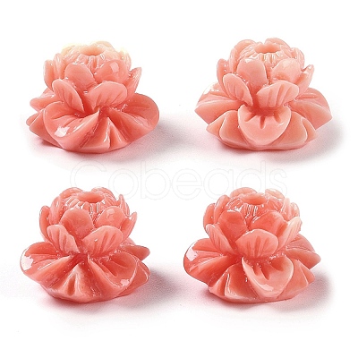 Synthetic Shell Dyed Carved Beads SHEL-H005-16-1