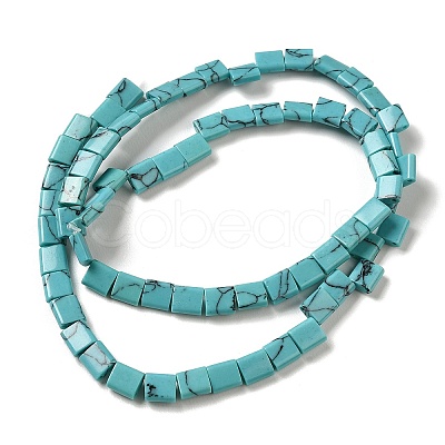 Synthetic Turquoise Beads Strands G-F762-A02-01-1