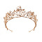 Alloy Rhinestone Crown Hair Bands for Girls Women Wedding Party Decoration, Light Gold, 65x160mm