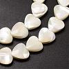 Natural Trochid Shell/Trochus Shell Beads Strands SSHEL-K012-05-3