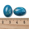 Natural Howlite Cabochons X-G-C115-01A-27-3