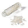 Natural Quartz Crystal Chip Bead Roller Ball Bottles AJEW-H101-01B-3