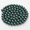 Glass Pearl Beads Strands HY-12D-B59-1