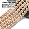 Eco-Friendly Glass Pearl Beads Strands HY-A008-8mm-RB092-3