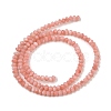 Natural Freshwater Shell Dyed Beads Strands SHEL-R100-13A-03-2