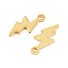 201 Stainless Steel Charms STAS-Z049-03G-2