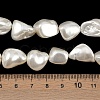 Shell Pearl Beads Strands BSHE-C008-01-4