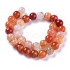 Crackle Natural Carnelian Beads Strands G-H235-3
