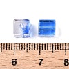 Baking Paint Transparent Glass Beads DGLA-N005-01A-02-4