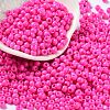 Baking Paint Glass Seed Beads SEED-H002-I-A529-1