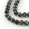 Natural Labradorite Round Bead Strands G-R342-10mm-09-2