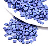 2-Hole Baking Paint Glass Seed Beads SEED-S031-L-ST1200FR-1