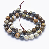 Natural Pietersite Beads Strands G-K256-49-10mm-2