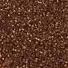 MIYUKI Delica Beads X-SEED-J020-DB0121-3