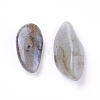 Natural Labradorite Beads G-I221-24-2