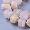 Natural Moonstone Beads Strands G-F653-18-3