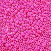 Baking Paint Glass Seed Beads SEED-H002-I-A529-3