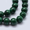 Natural Malachite Beads Strands G-F571-27AA2-10mm-3