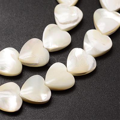 Natural Trochid Shell/Trochus Shell Beads Strands SSHEL-K012-05-1