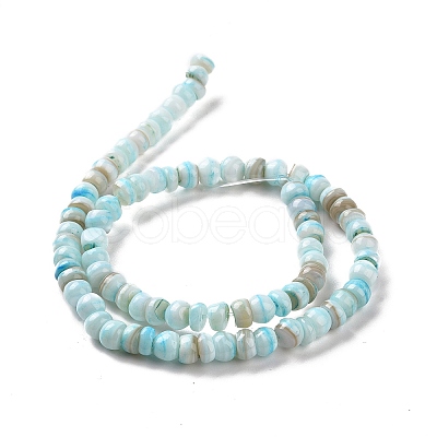 Natural Cultured Freshwater Shell Beads Strands SHEL-F002-01B-1