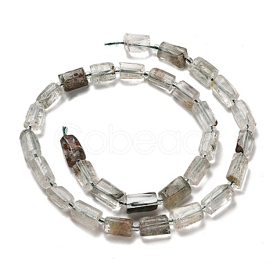 Natural Green Lodolite Quartz/Garden Quartz Beads Strands G-K245-I13-01-1