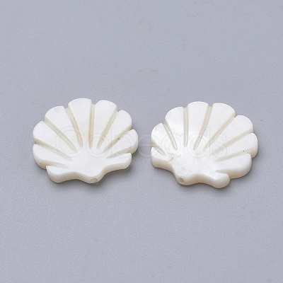 Natural Freshwater Shell Beads X-SHEL-T007-02-1