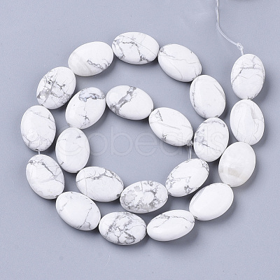 Natural Howlite Beads Strands G-S359-006-1