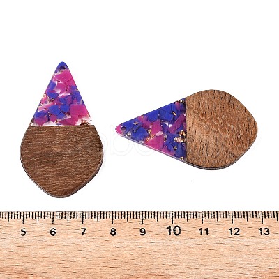 Transparent Resin and Walnut Wood Pendants RESI-T057-06G-1