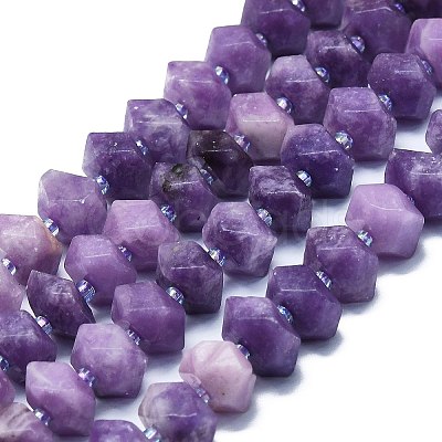 Natural Lepidolite/Purple Mica Stone Beads Strands G-K245-G02-04-1