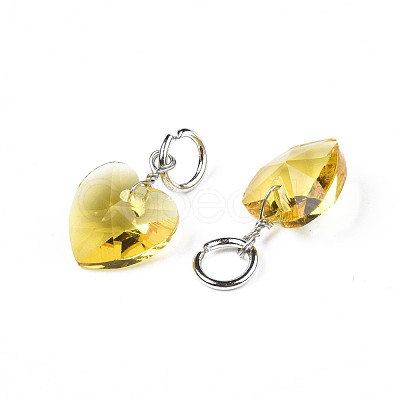 Faceted Transparent Glass Charms GLAA-T024-04K-1