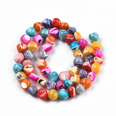 Natural Trochid Shell/Trochus Shell Beads Strands SSHEL-N032-56-1