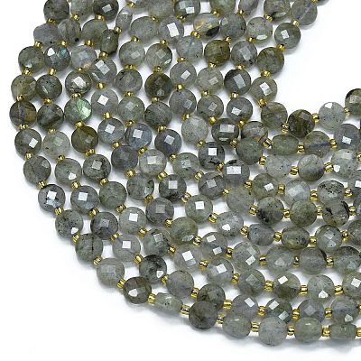 Natural Labradorite Beads Strands G-K389-B66-01-1