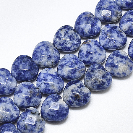 Natural Blue Spot Jasper Beads Strands G-S357-E02-06-1