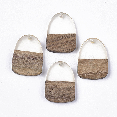 Transparent Resin & Walnut Wood Pendants RESI-Q210-005A-B01-1