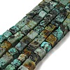 Natural African Turquoise(Jasper) Beads Strands G-F631-K24-1