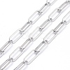 3.28 Feet 304 Stainless Steel Paperclip Chains X-CHS-F011-01A--P-2