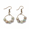 Natural Aqua Terra Jasper Dangle Earrings EJEW-S202-011B-1