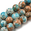 Natural Imperial Jasper Beads Strands G-N342-25C-1