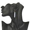 Glass Pearl & Seed Column Dangle Earrings EJEW-MZ00059-01-3