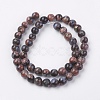 Natural Llanite Beads Strands G-F560-8mm-C01-2