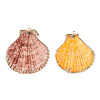 Electroplate Multicolor Sea Shell Pendants SSHEL-S262-31-2