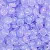 Transparent Colours Glass Seed Beads SEED-P008-01B-05-2