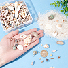  15 Styles Natural Shell Display Decorations FIND-NB0003-18-3