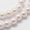 Shell Pearl Beads Strands X-BSHE-L025-01-6mm-3