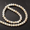 Natural Freshwater Shell Round Bead Strands X-SHEL-M013-01-2